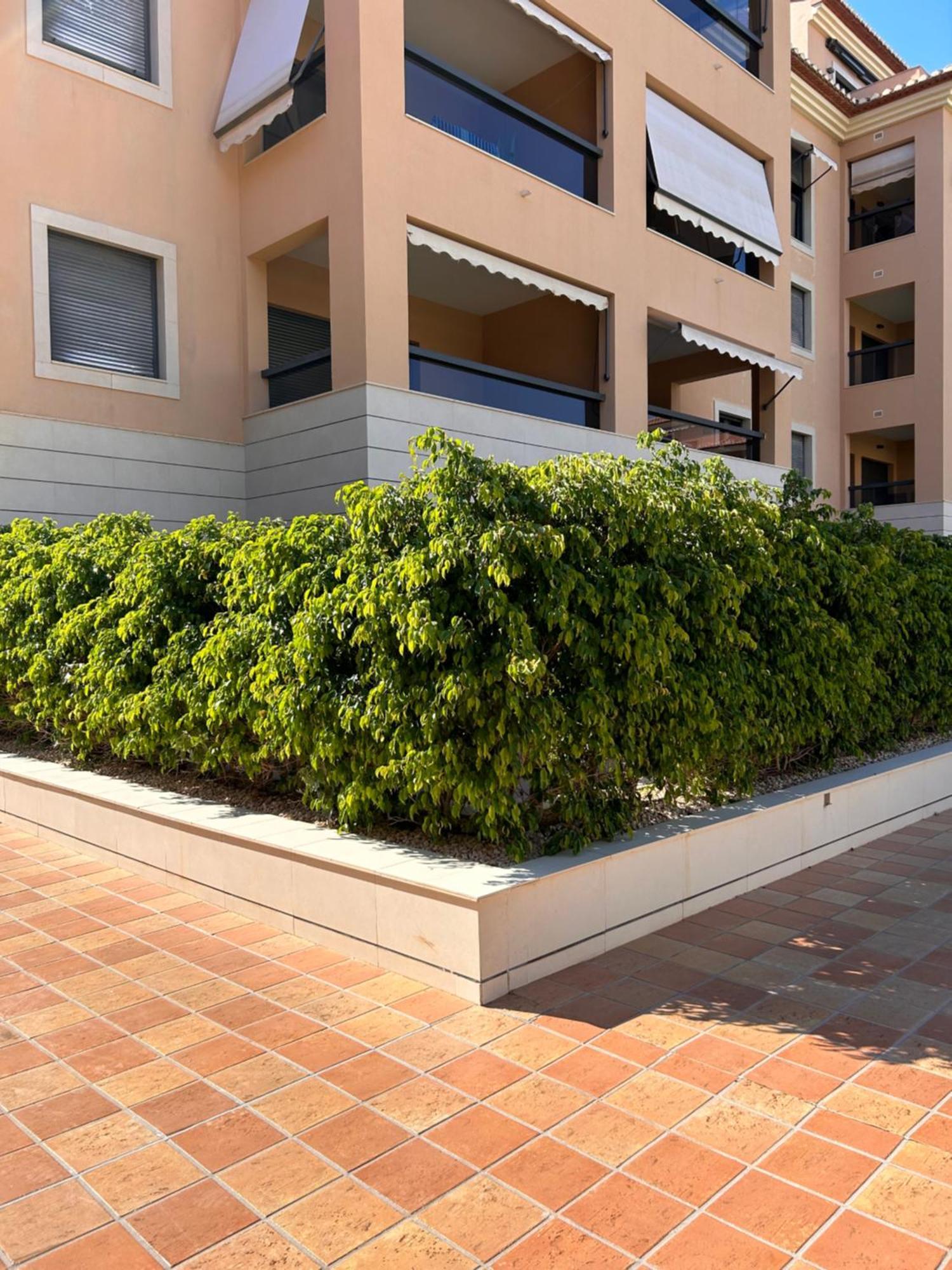 Jardines De Las Marinas Con Una Gran Terraza Διαμέρισμα Denia Εξωτερικό φωτογραφία